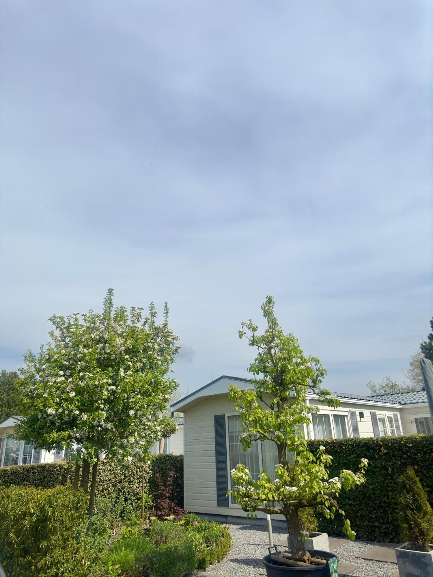 Chalet Sirun Strandcamping Valkenisse, Biggekerke Exteriör bild